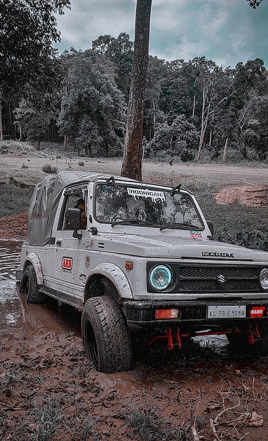 伟德国际最新官网